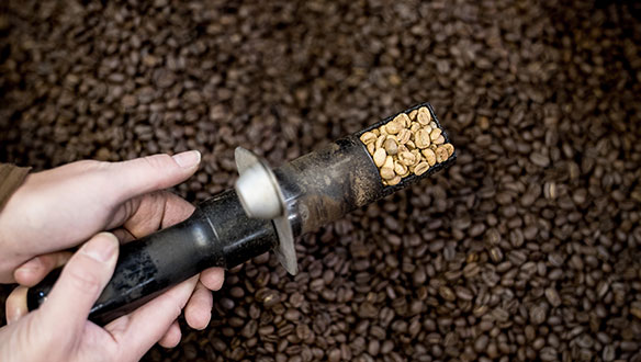 Braunegger Kaffee Wissen